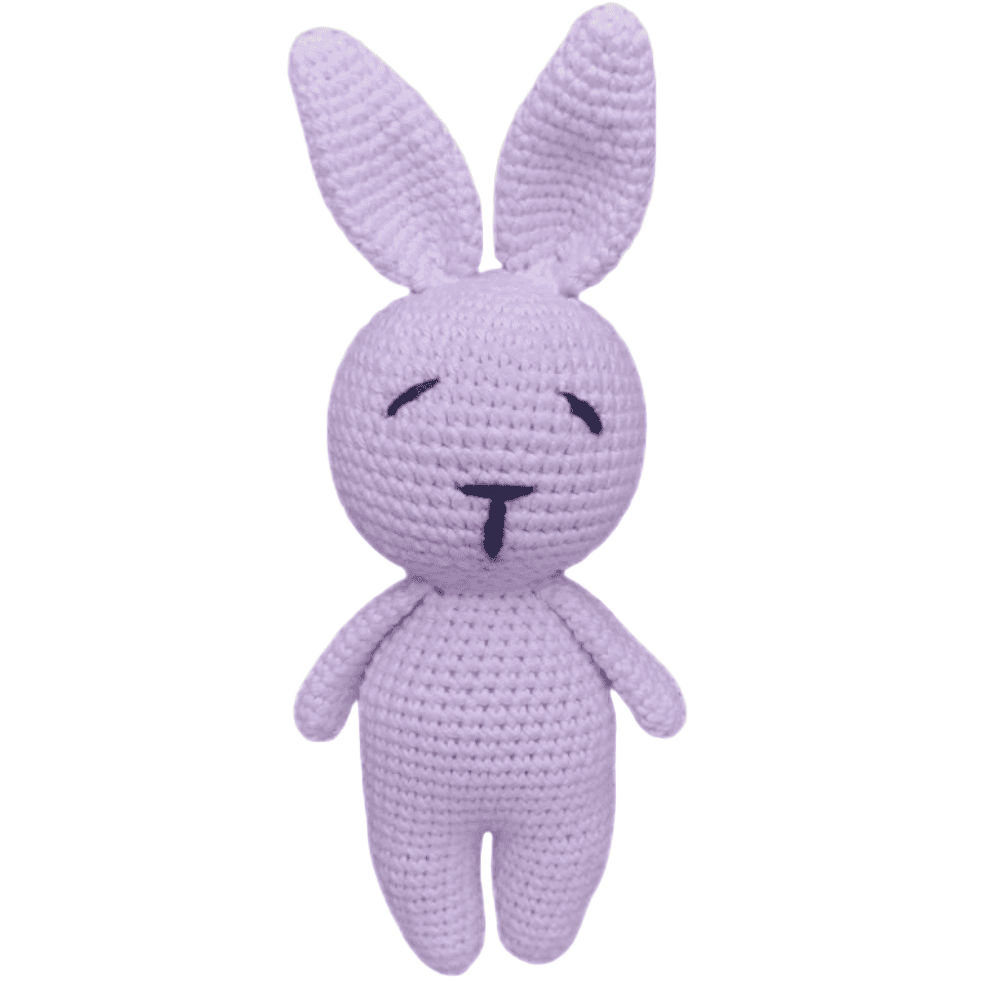 Jumpy Bunny