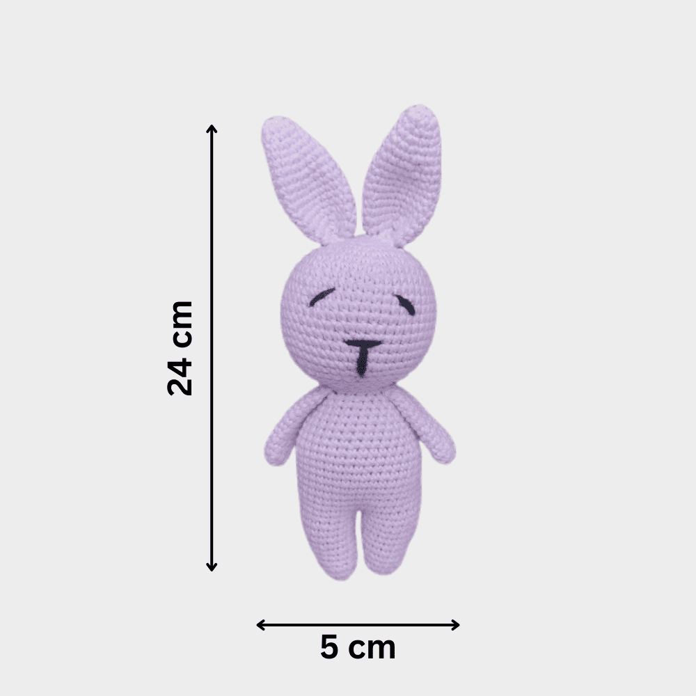 Jumpy Bunny