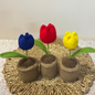 Mini Desktop Bloom