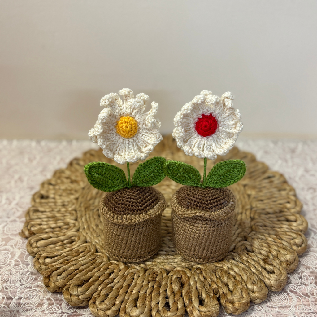 Mini Desktop Bloom