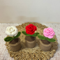 Mini Desktop Bloom