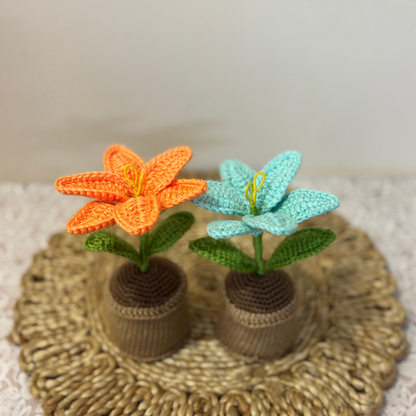 Mini Desktop Bloom