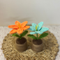 Mini Desktop Bloom