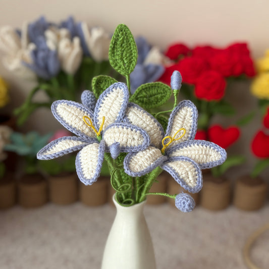 The Calm Bloom Set