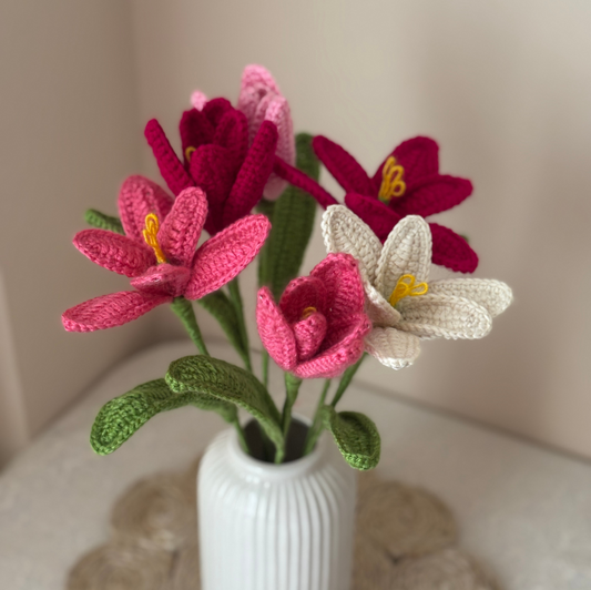 Blush in Bloom