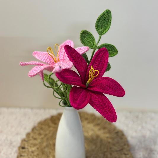 Lilly Love Duo